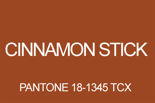 Kolor Cinnamon Stick